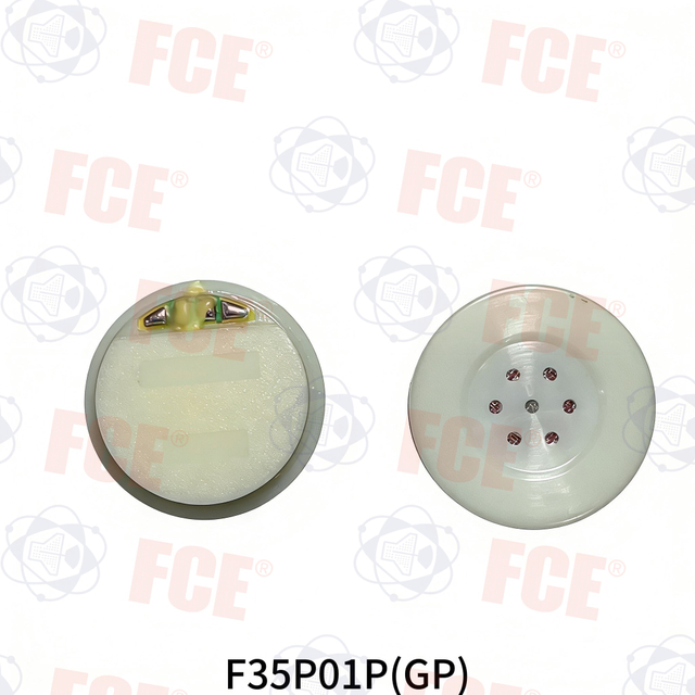 F35P01P(GP)